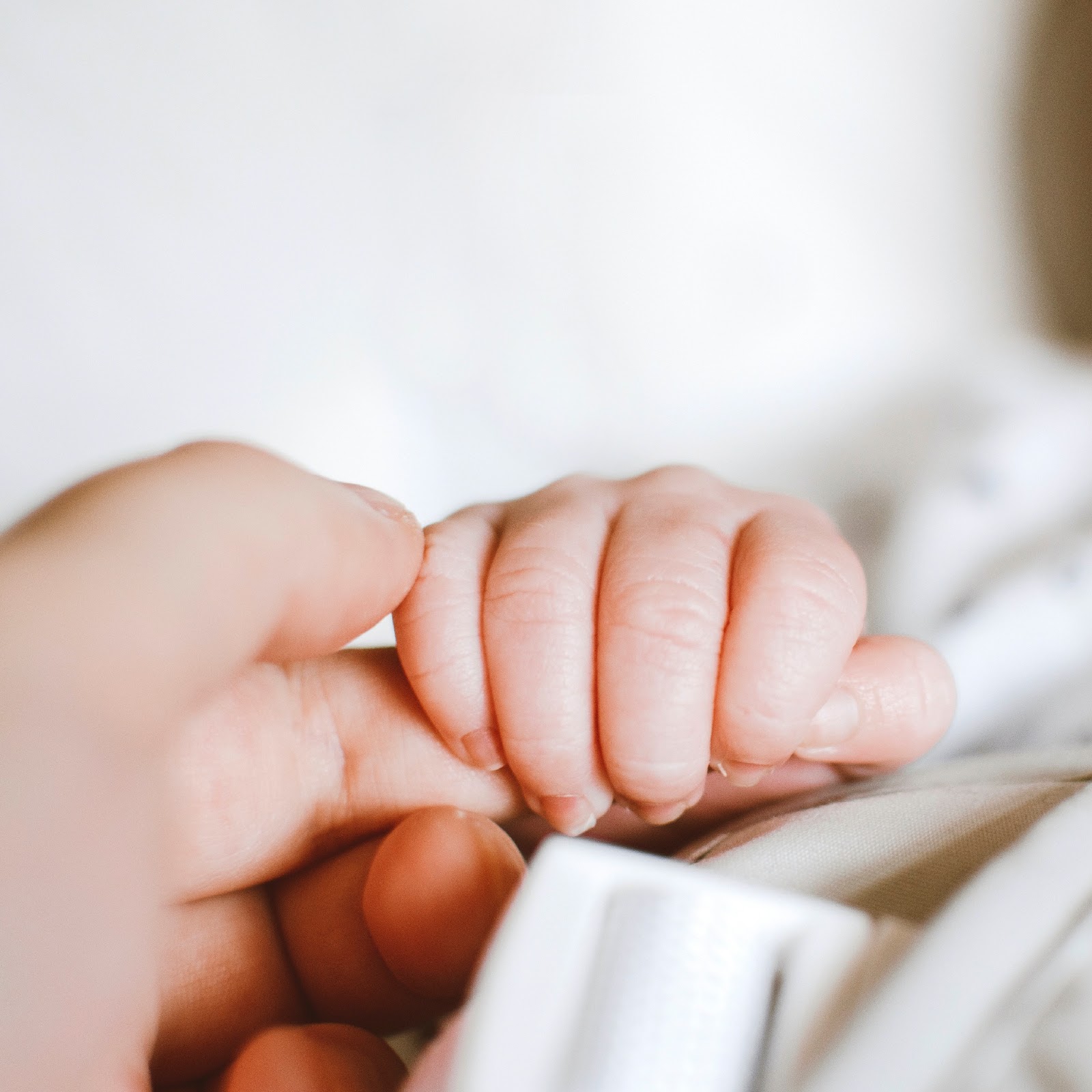 New Fertility Group presso European Hospital Roma — photo 5