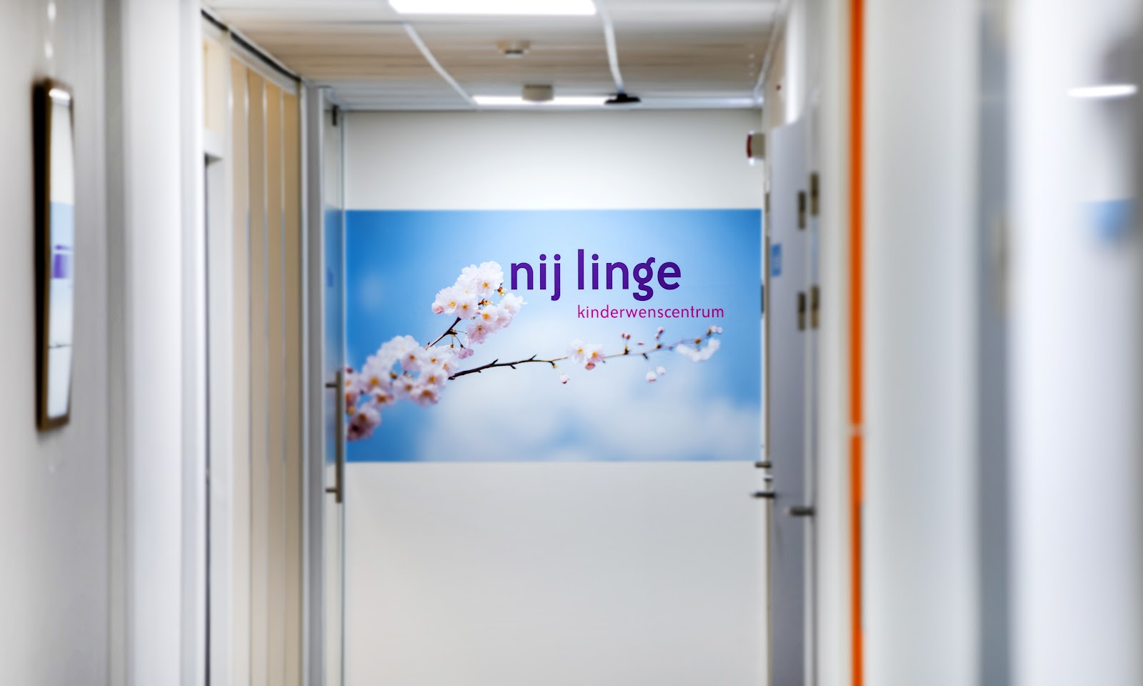 Nij Linge — photo 4