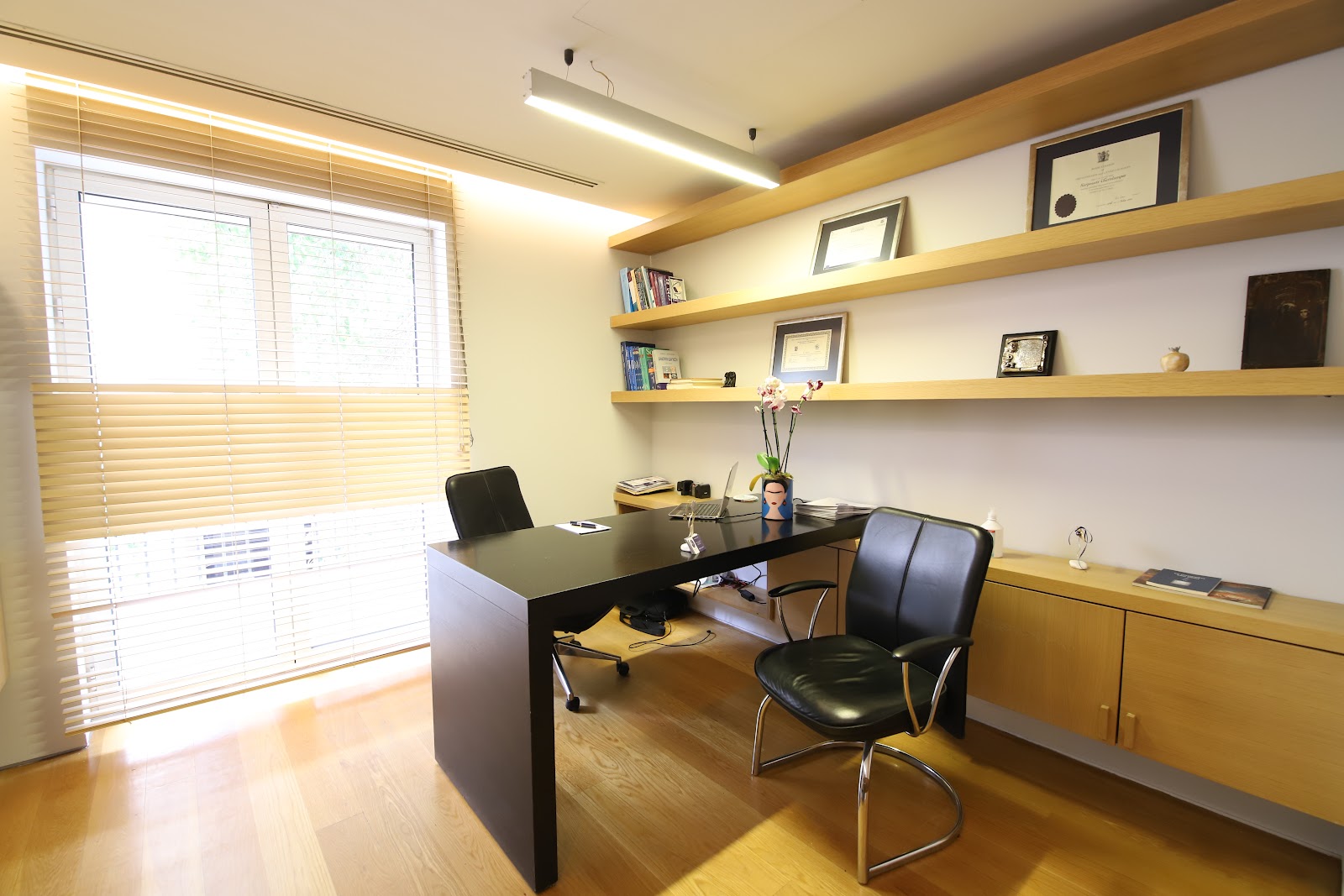 Pelargos IVF Medical Group — photo 4