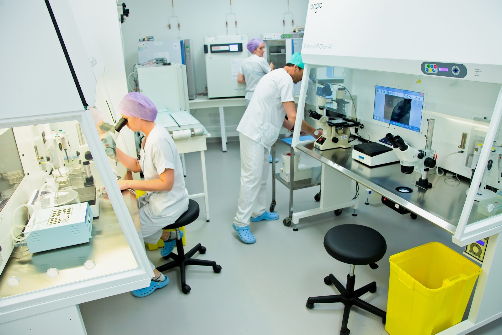 AMP Center St Roch - In vitro fertilization (IVF)