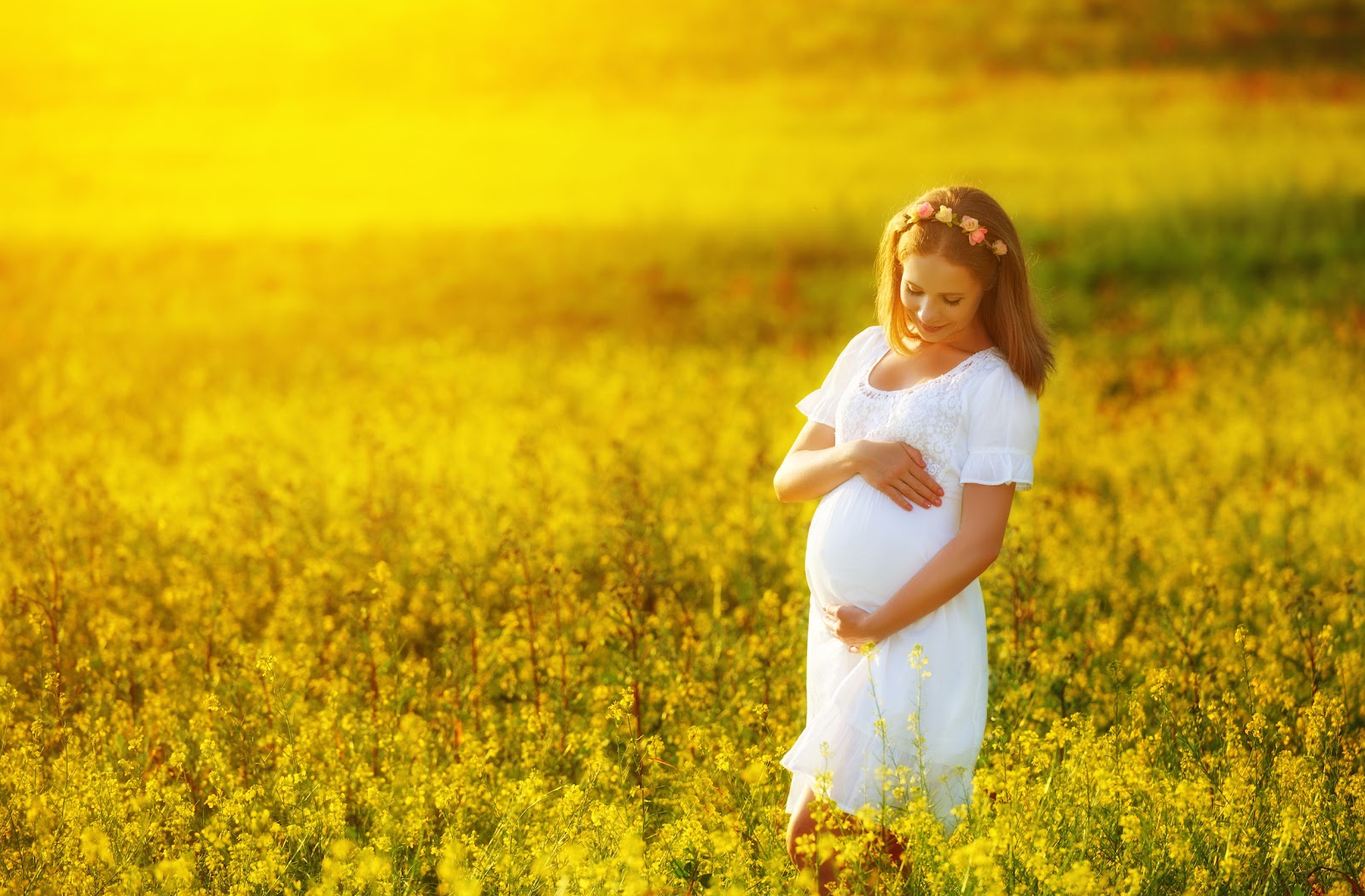 Mitosis IVF Centre