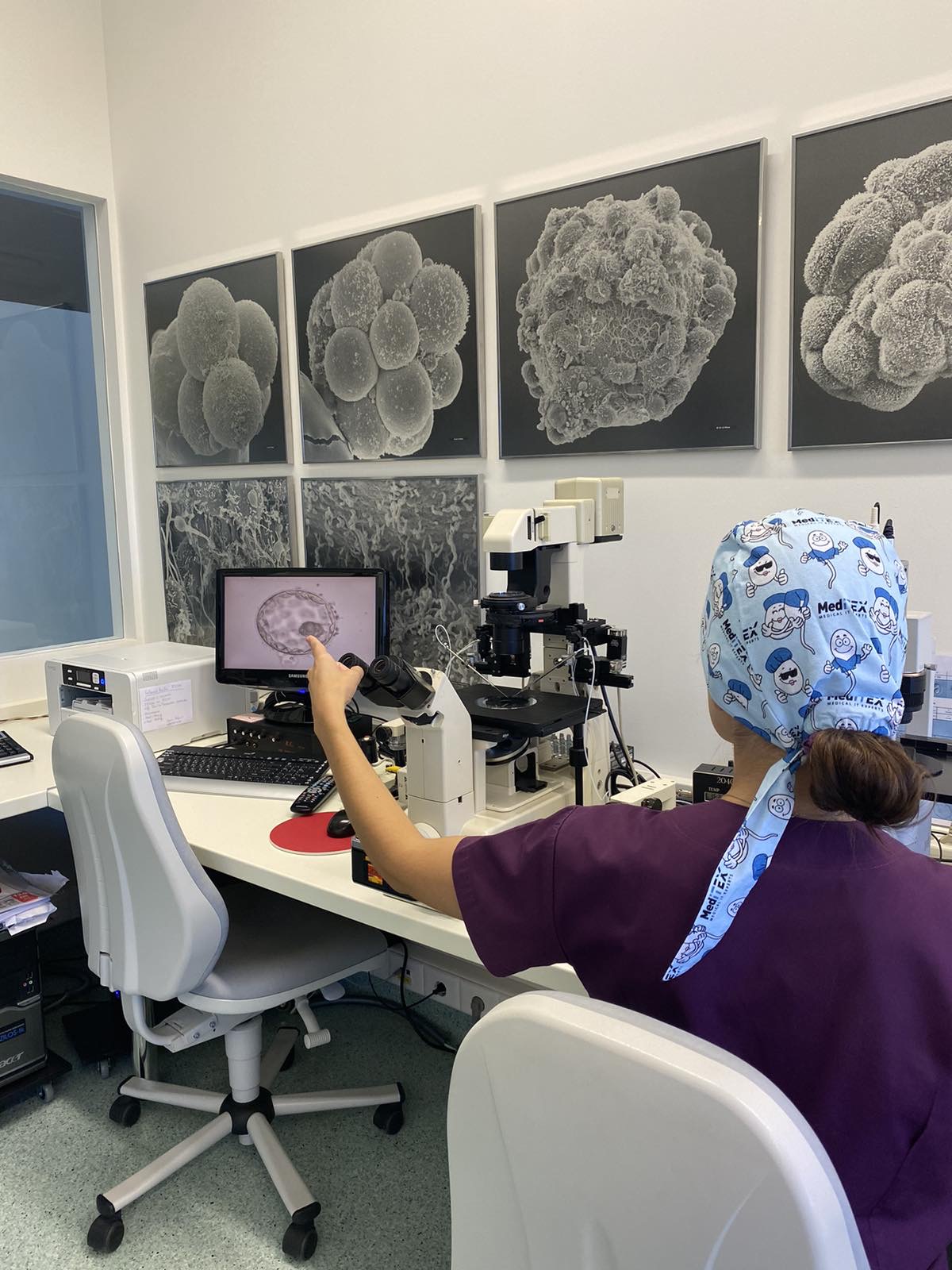 Κλινική Γονιμότητας | Fertility Clinic | Εξωσωματική Γονιμοποίηση και Δωρεά Ωαρίων — photo 5