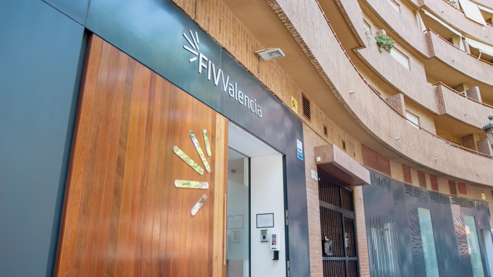 FIV Valencia — photo 5