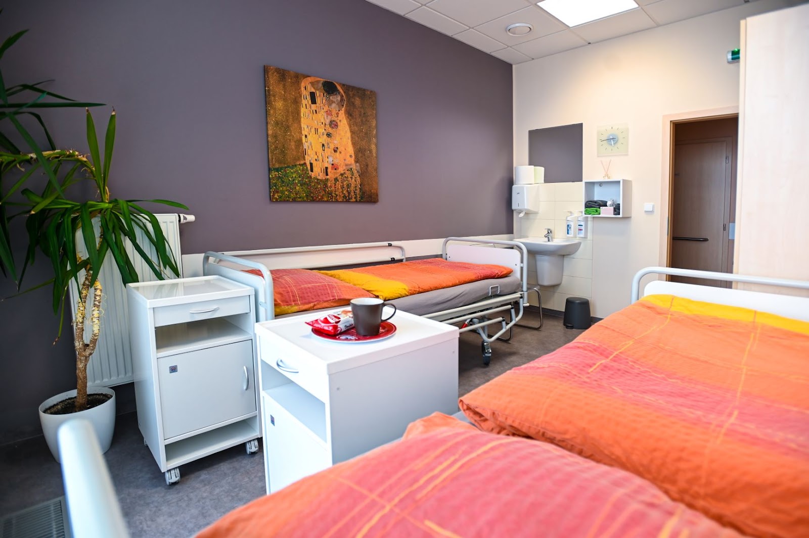 IVF Clinic Inc.