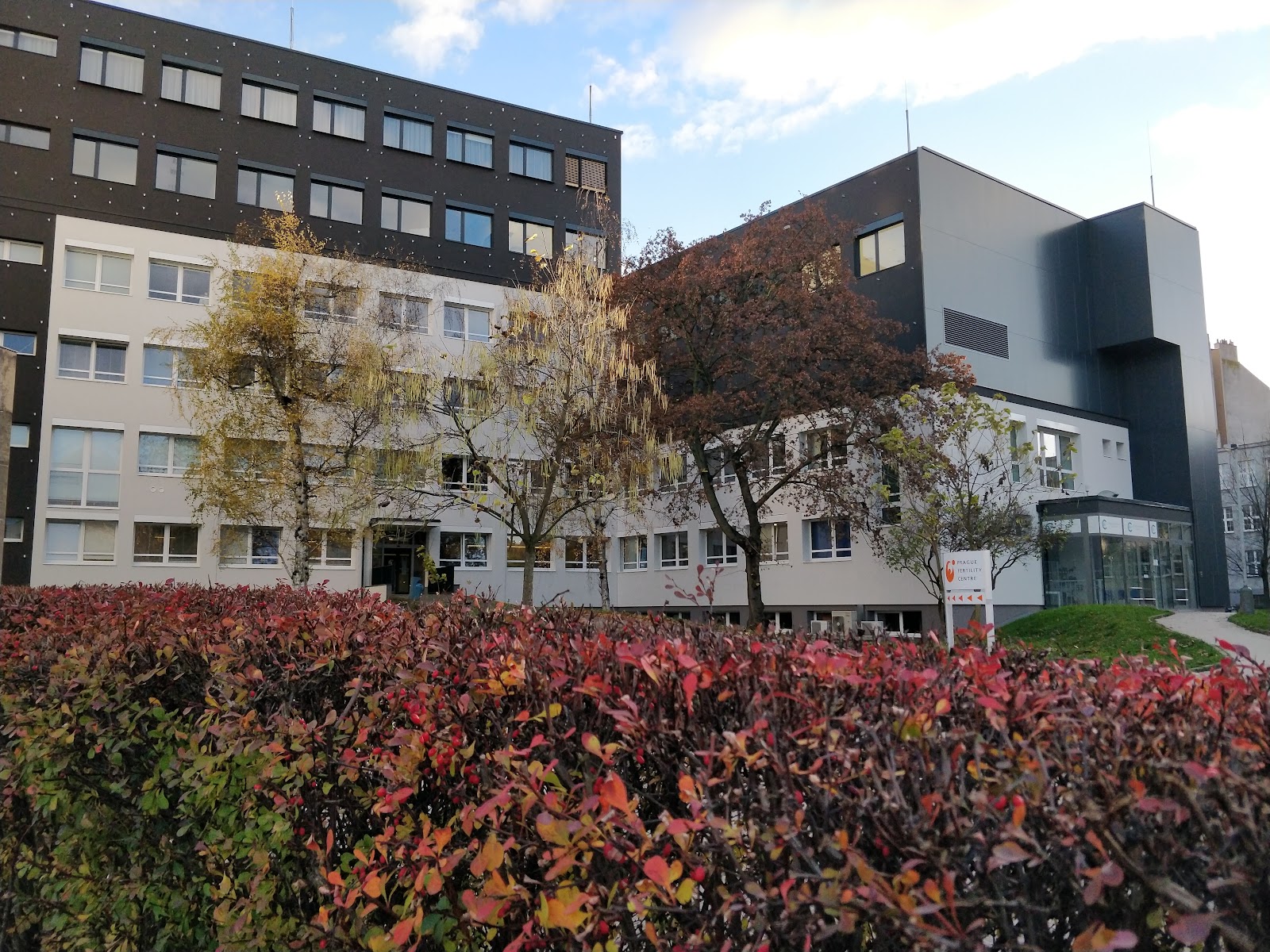 Prague Fertility Center — photo 3
