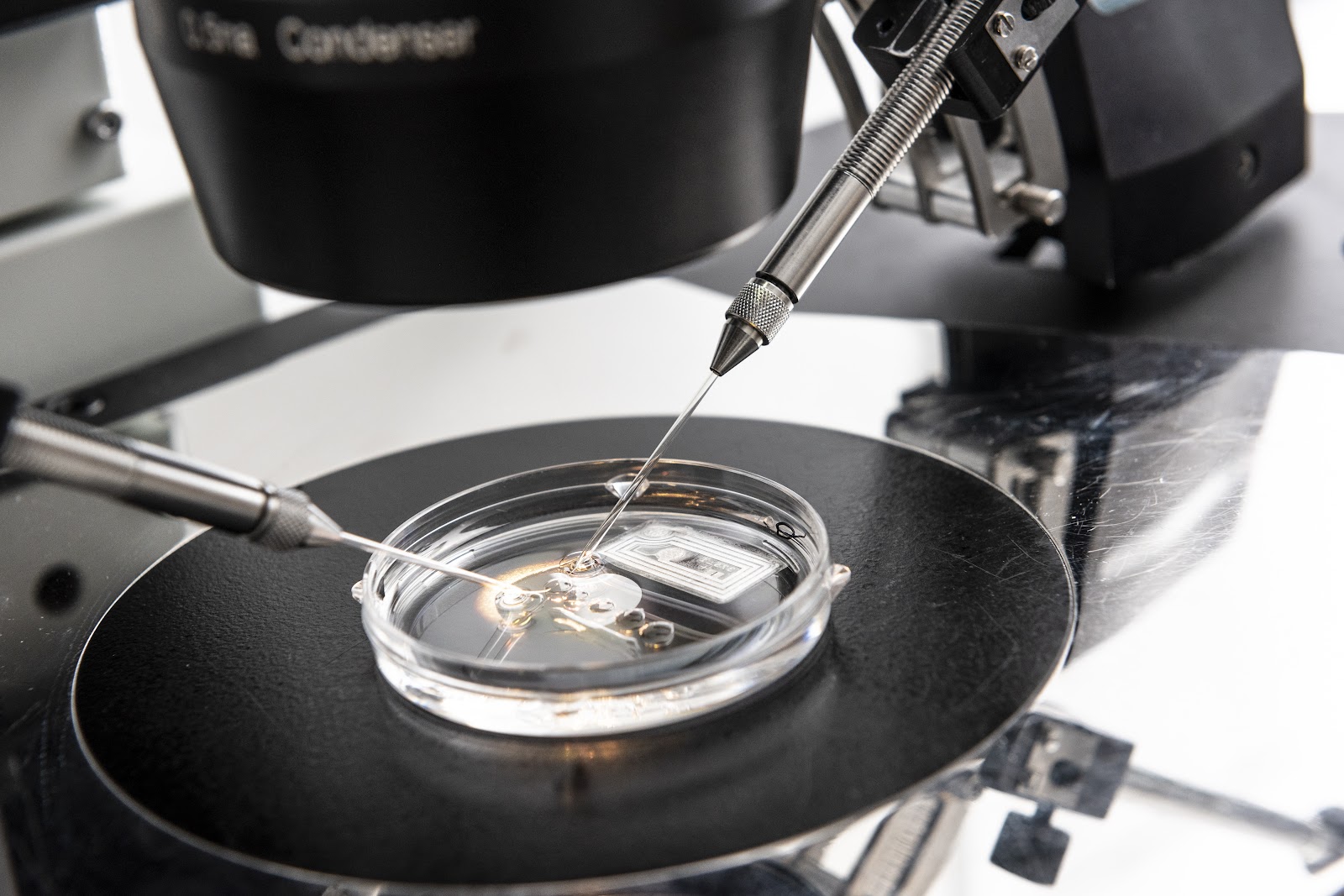 Sims IVF Clonskeagh — photo 5