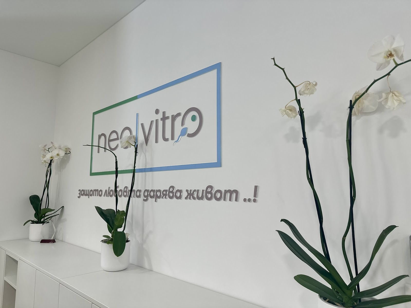 Medical IVF center NEOVITRO — photo 5