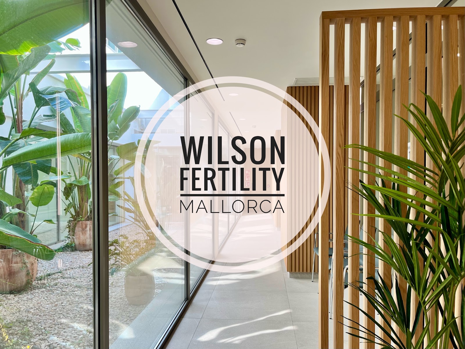 CeFivBa - Wilson Fertility - Centro de Fecundación in vitro Balear — photo 3