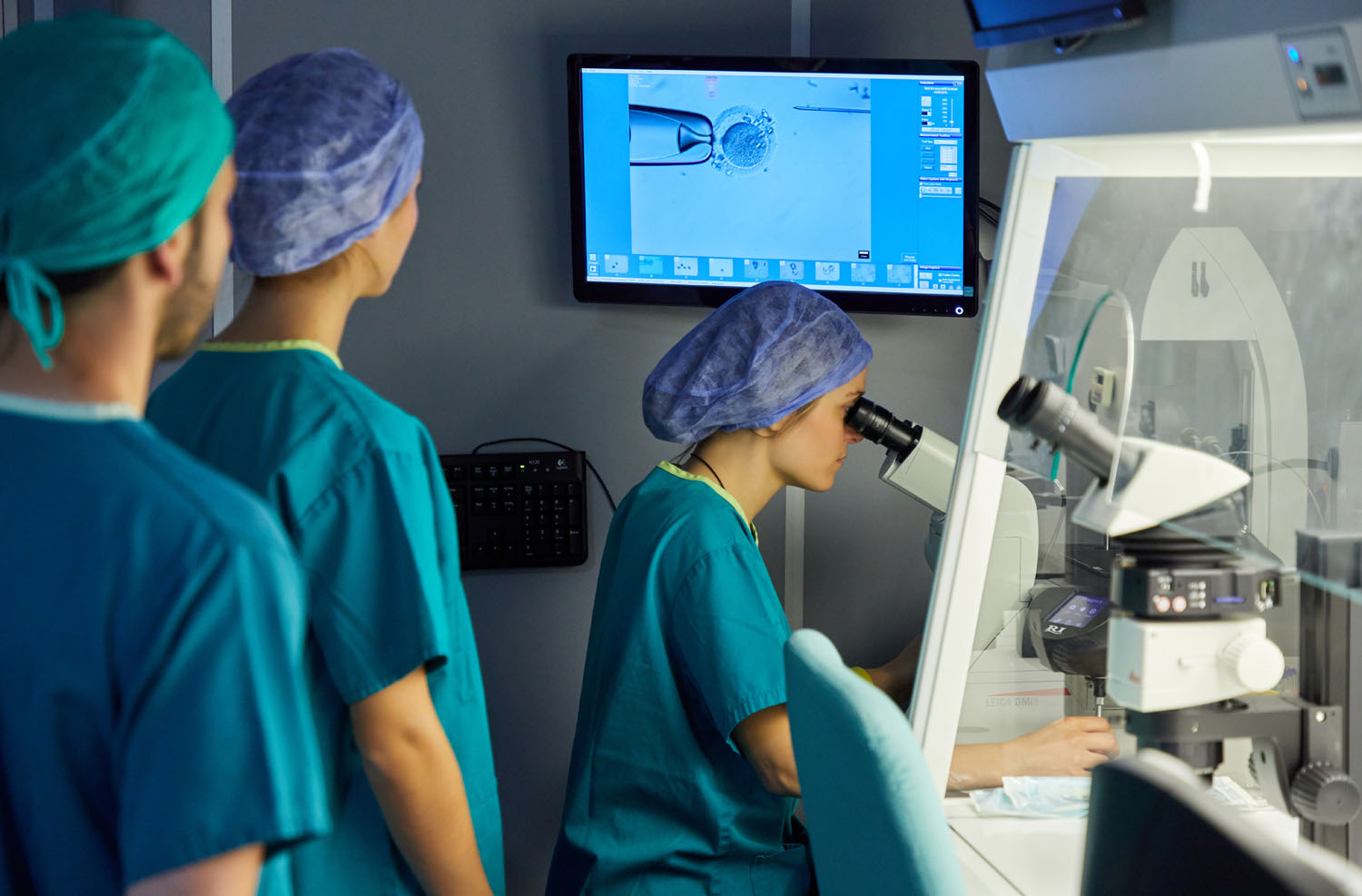 IVF-Life Donostia (Instituto Vasco de Fertilidad) — photo 4