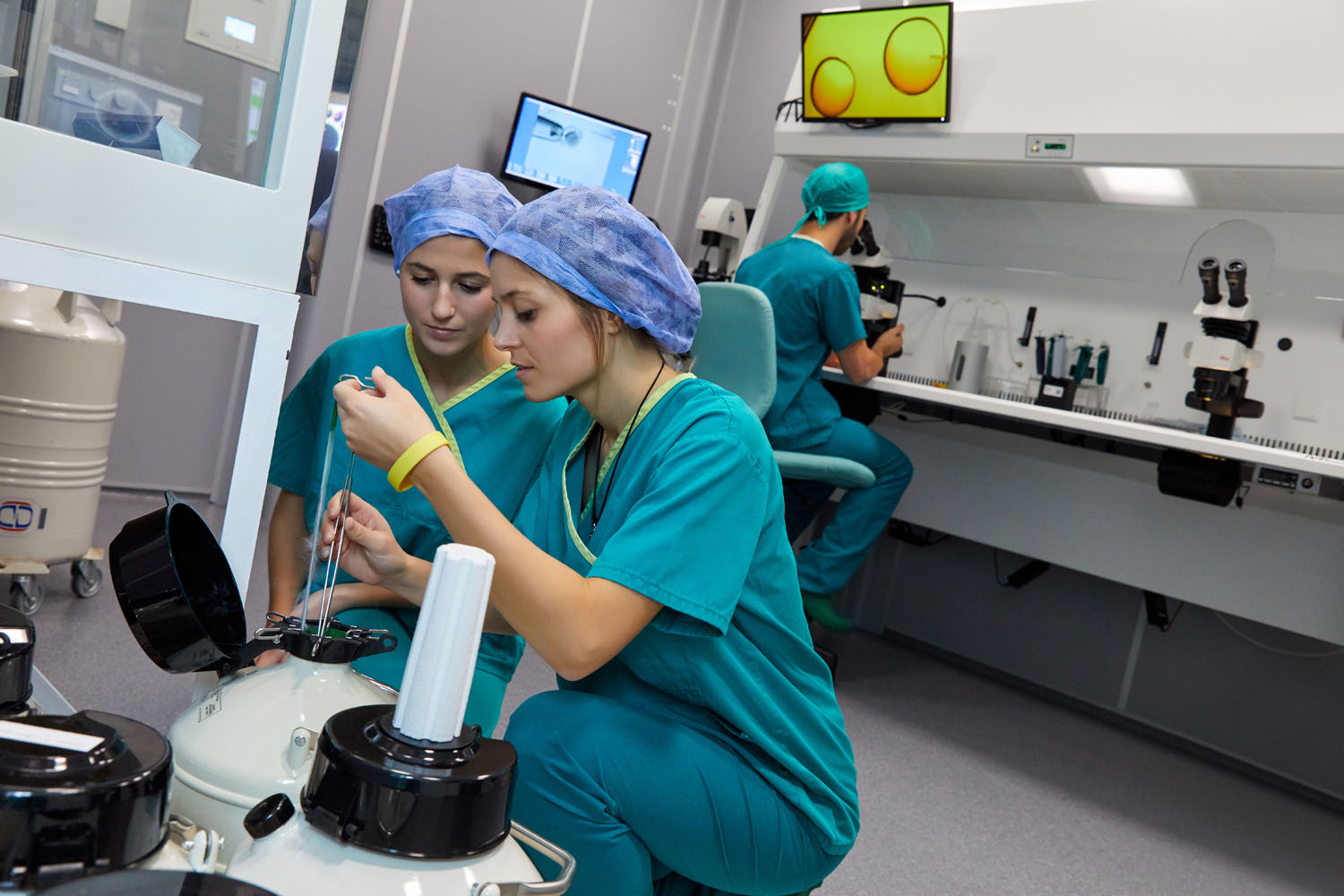 IVF-Life Donostia (Instituto Vasco de Fertilidad) — photo 5