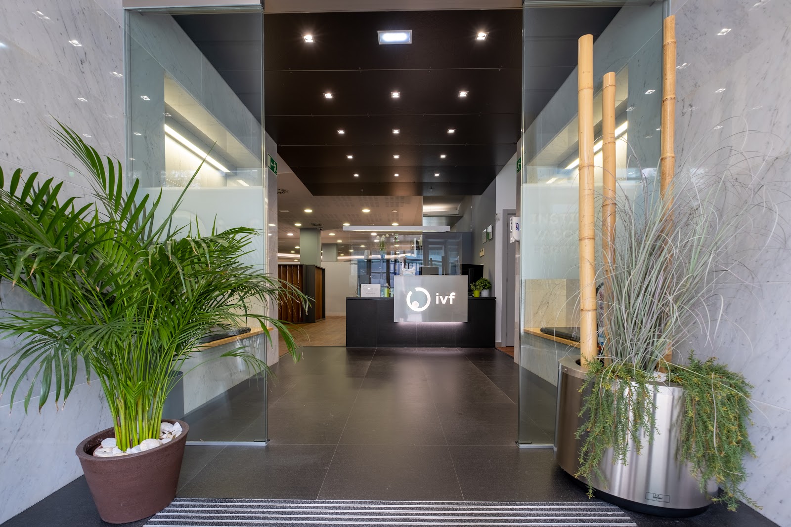 IVF-Life Donostia (Instituto Vasco de Fertilidad) — photo 5