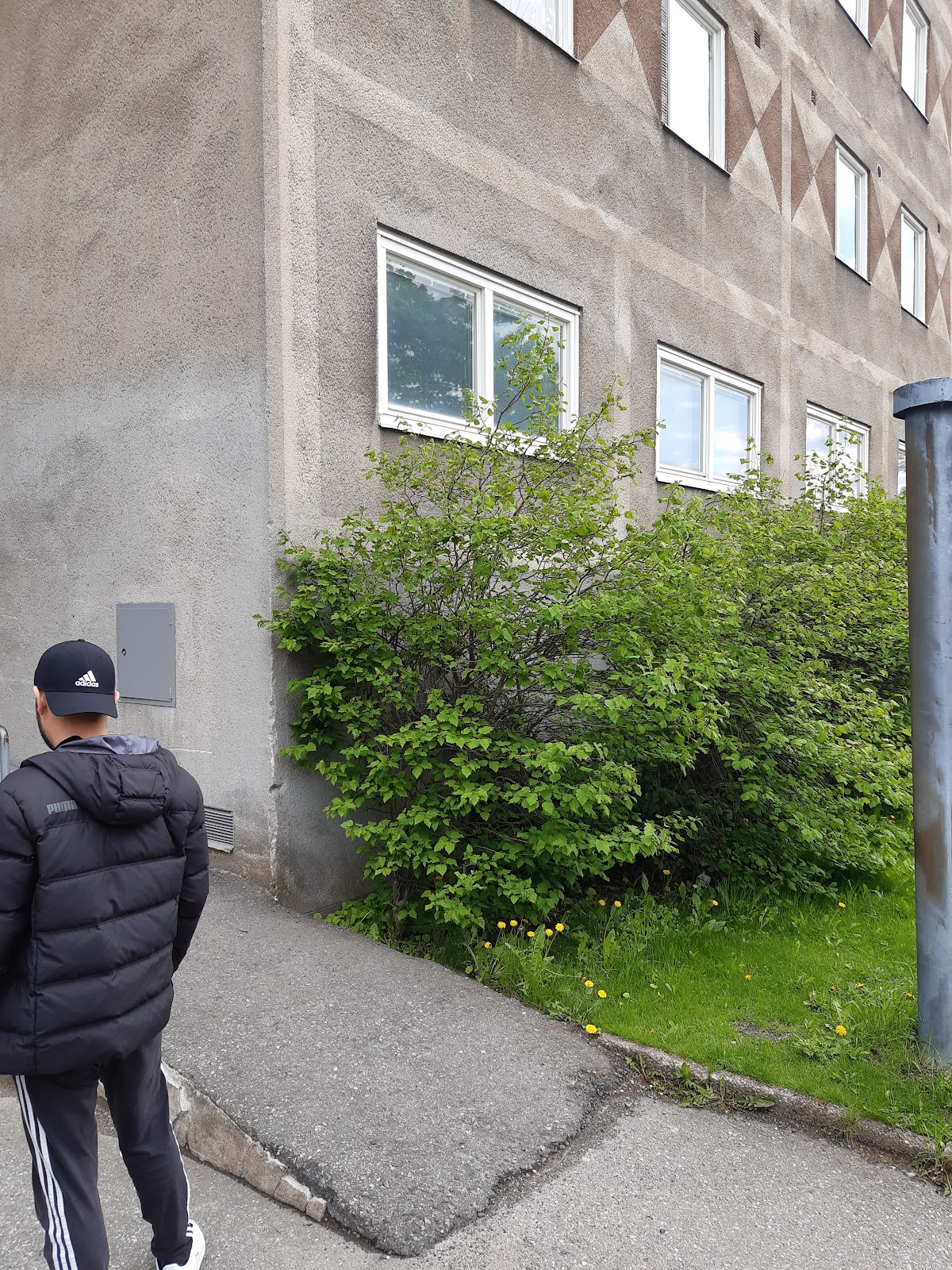 Livio Kungsholmen — photo 4