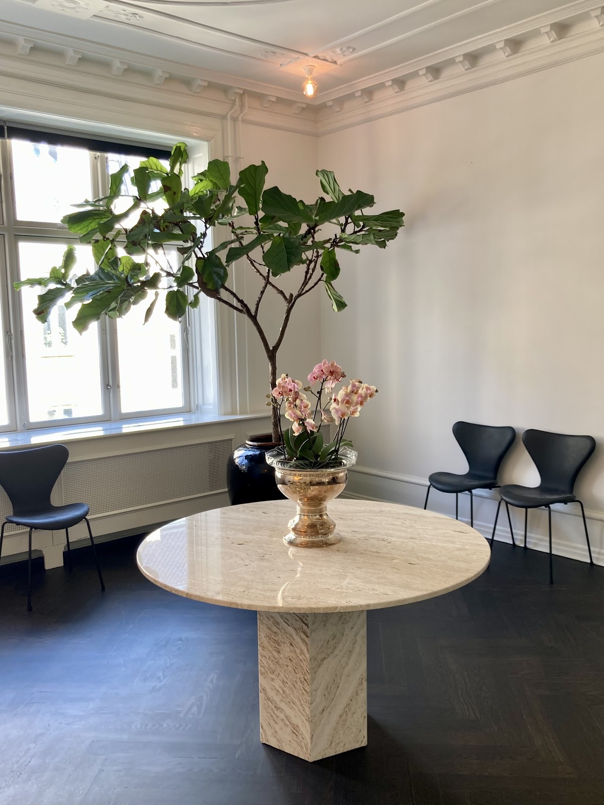 Juno IVF Fertilitetsklinik — photo 4