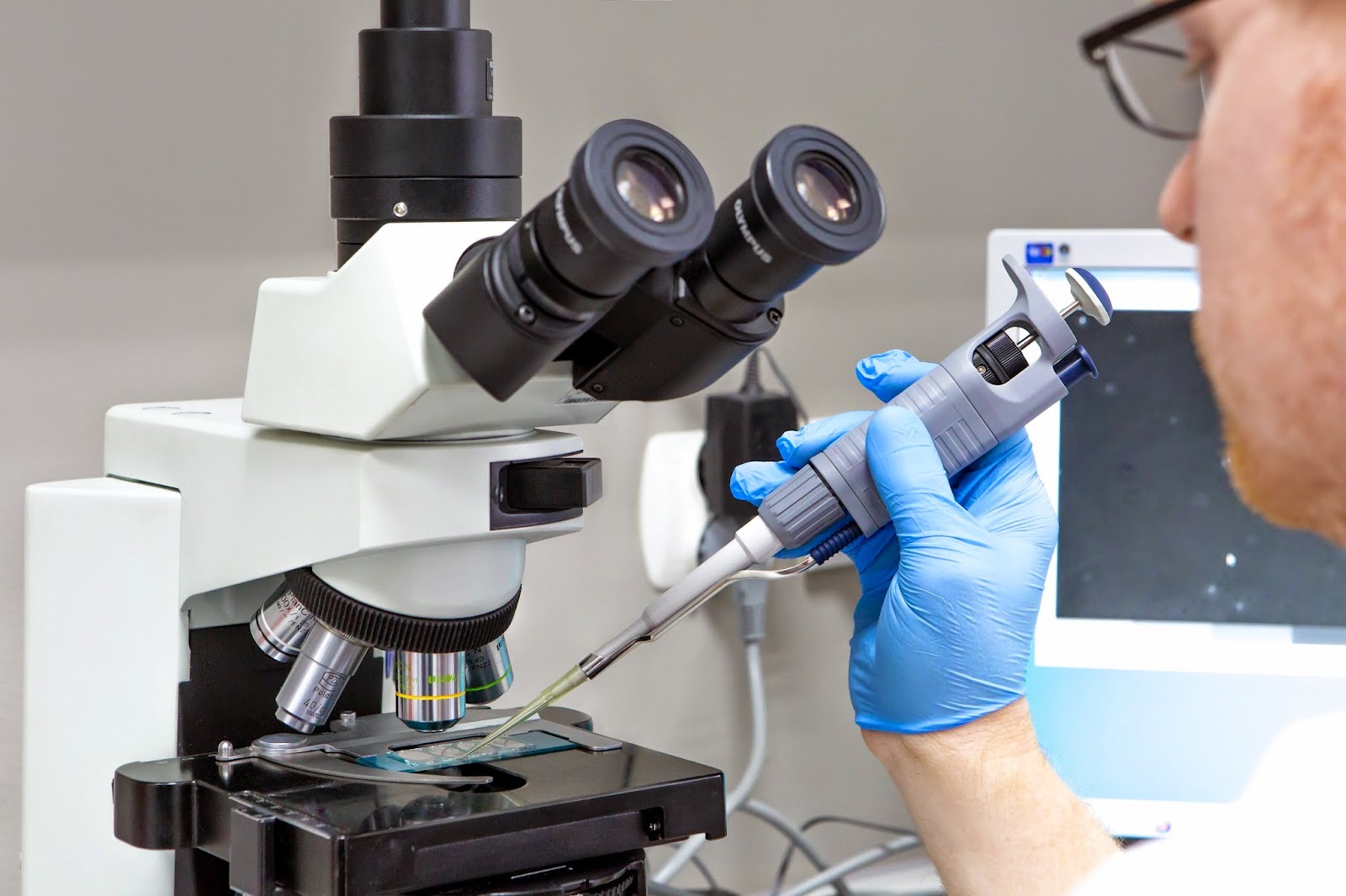 🧡GYNCENTRUM Bielsko - Biała - Klinika Leczenia Niepłodności i In Vitro. Diagnostyka Prenatalna — photo 5