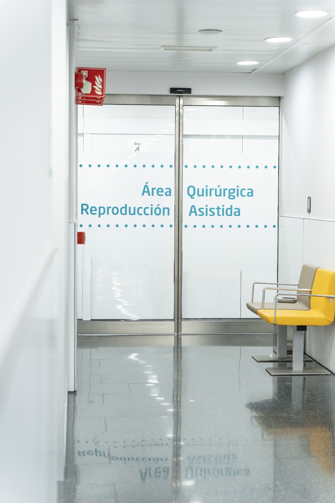Fertilidad Quirón Equipo Doctor Gosalvez. Reproducción Asistida. Hospital Quirónsalud Madrid. — photo 4