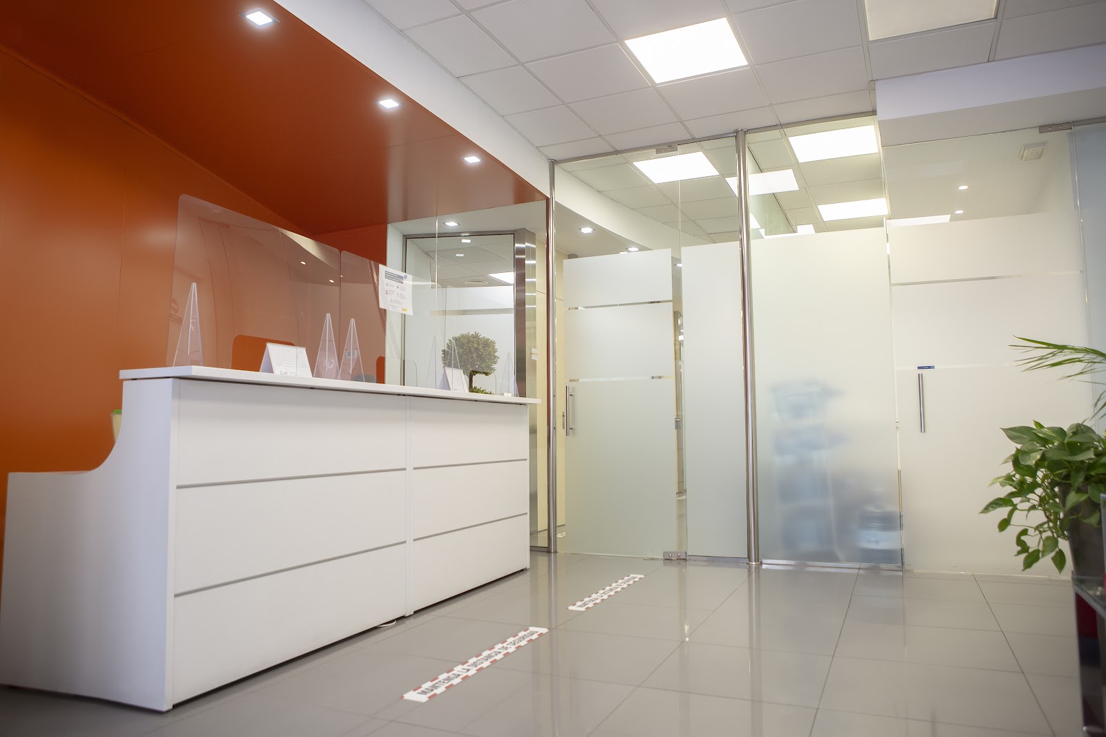 Instituto Europeo de Fertilidad (IEF) — photo 3