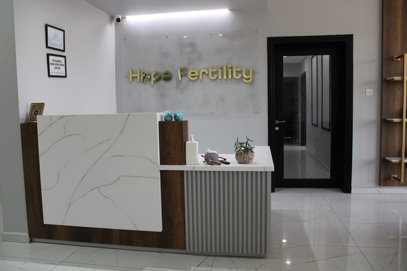 Cyprus Hope Fertility Team Z — photo 5