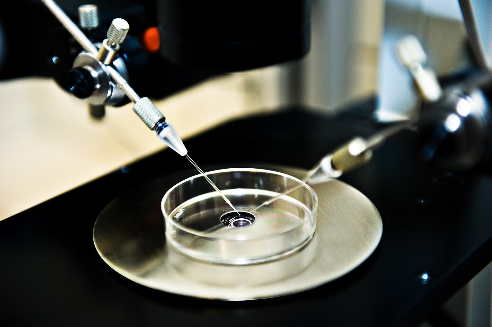 OVUM Specialized Medical Center — photo 5