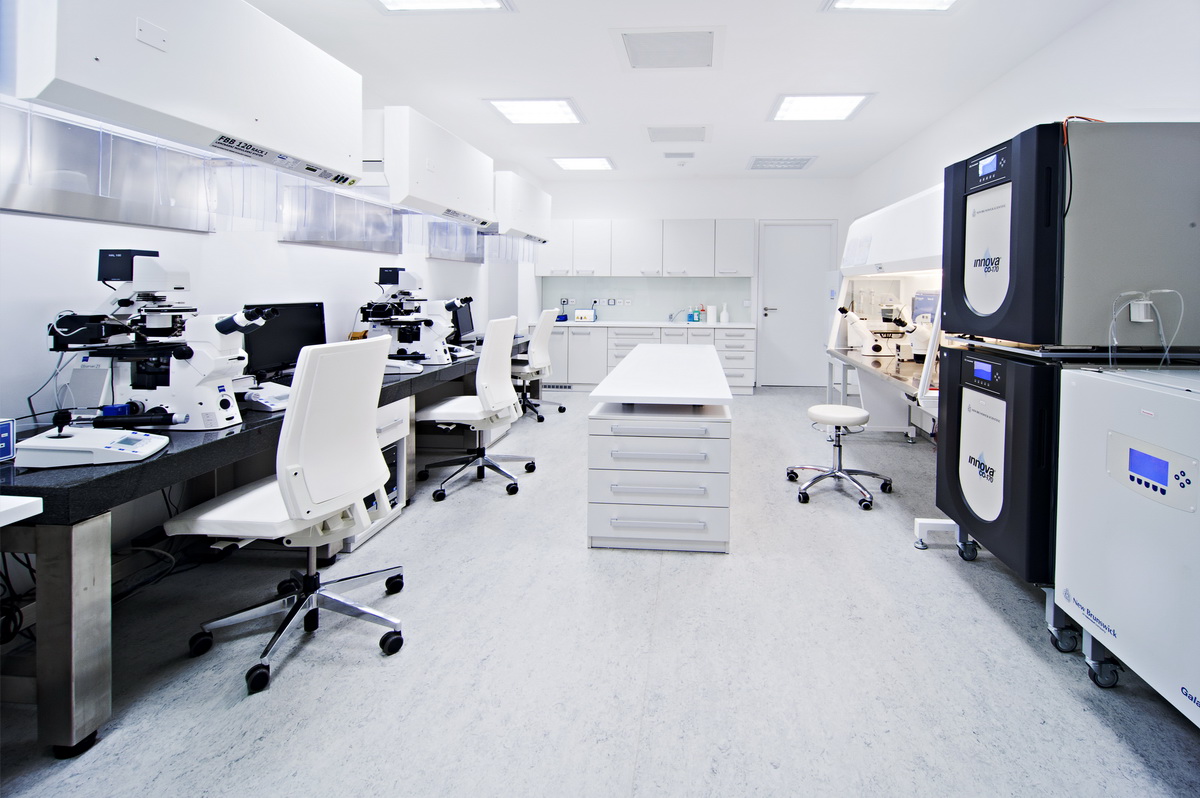 IVF CUBE — photo 5