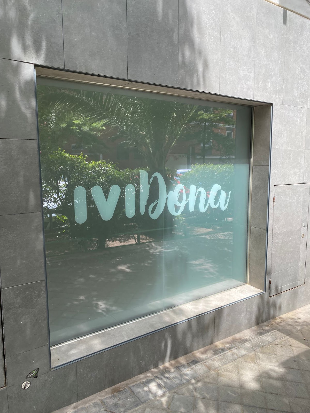 FIV Dona — photo 3