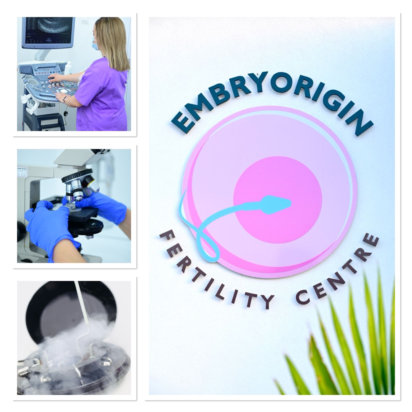 Embryorigin — photo 5