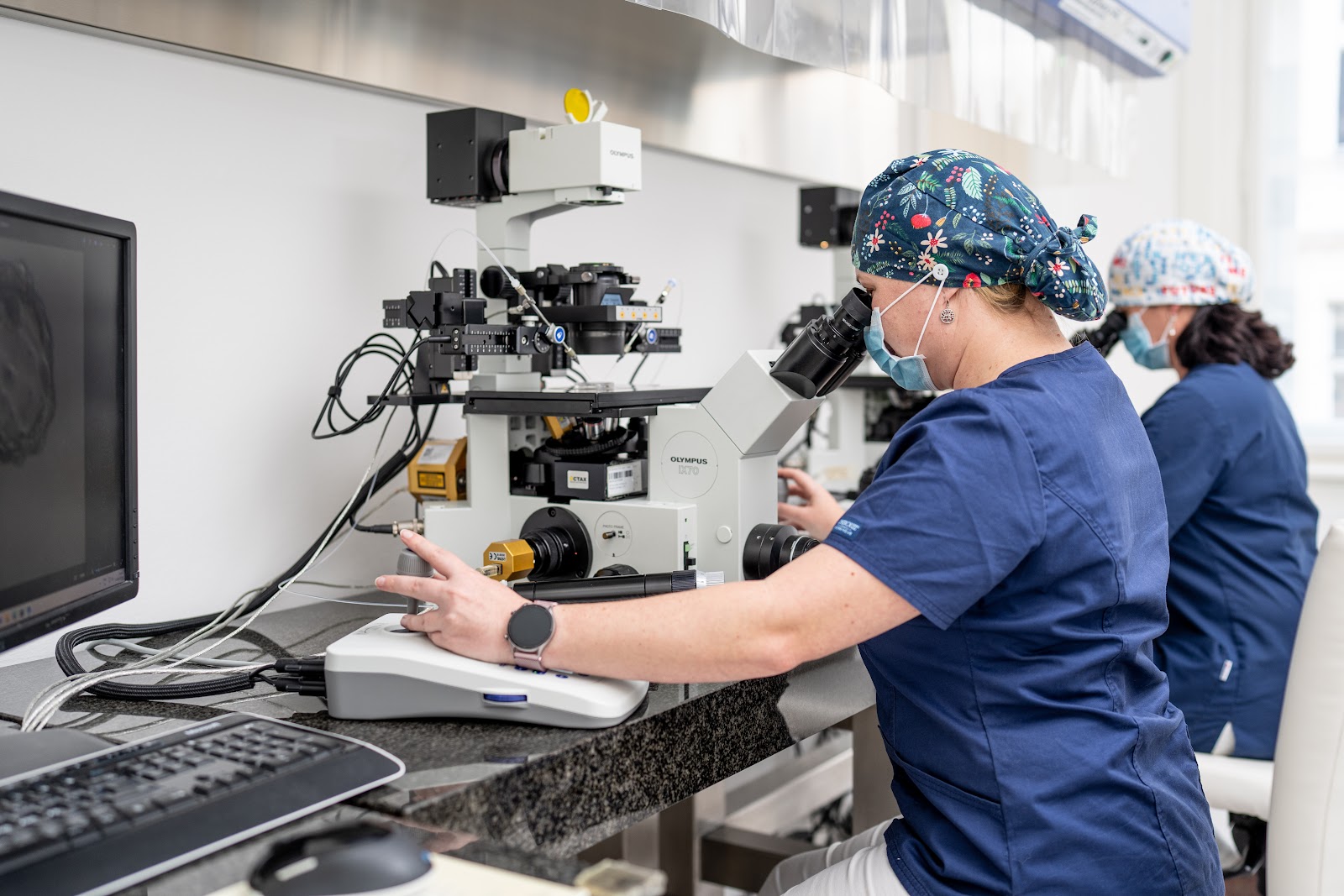 IVF Zentren Prof. Zech - Pilsen Ltd. — photo 4