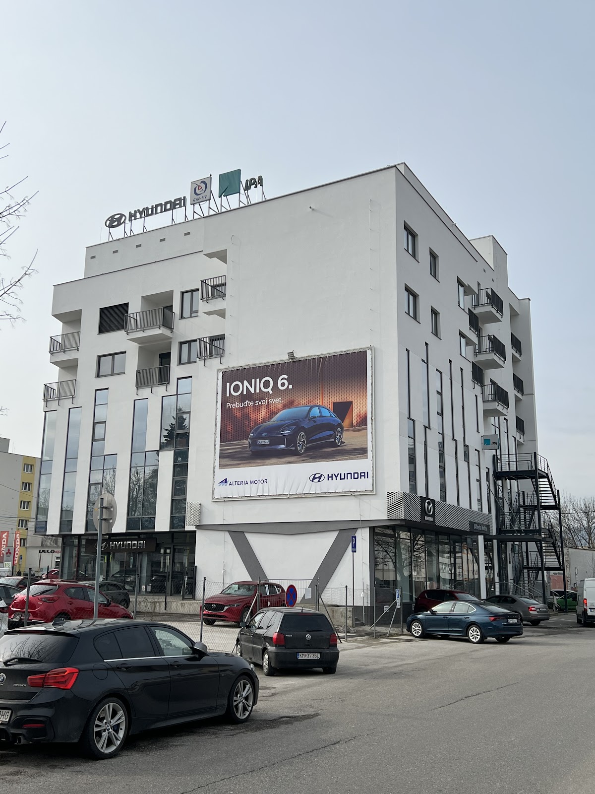 GYN-FIV Žilina — photo 5