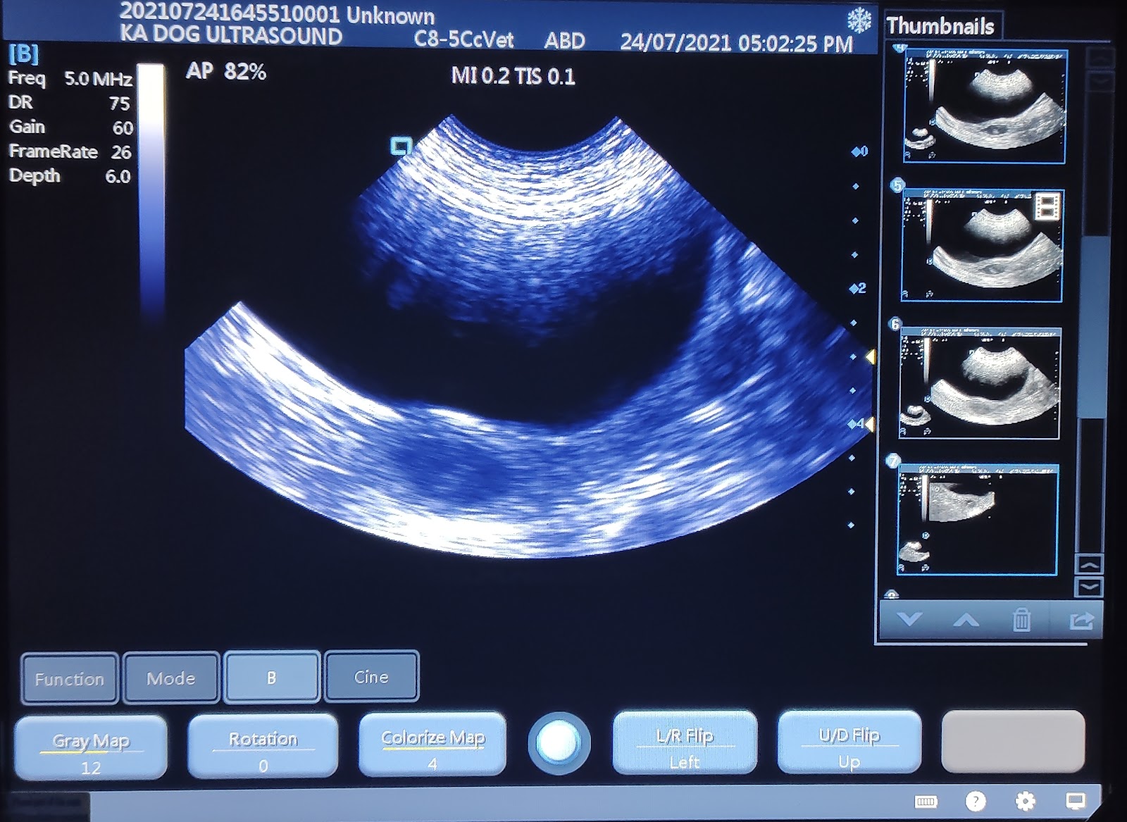 Pet-Ultrasound Scanning and Canine Fertility Clinic — photo 3