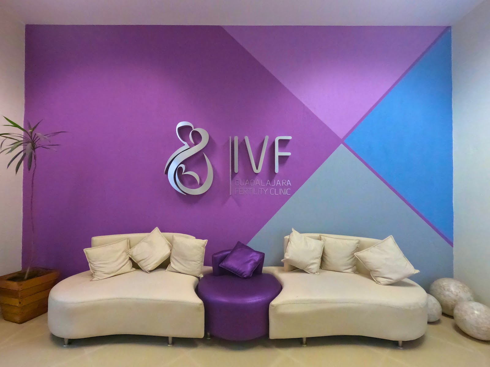 Mexican Institute of Infertility — photo 3