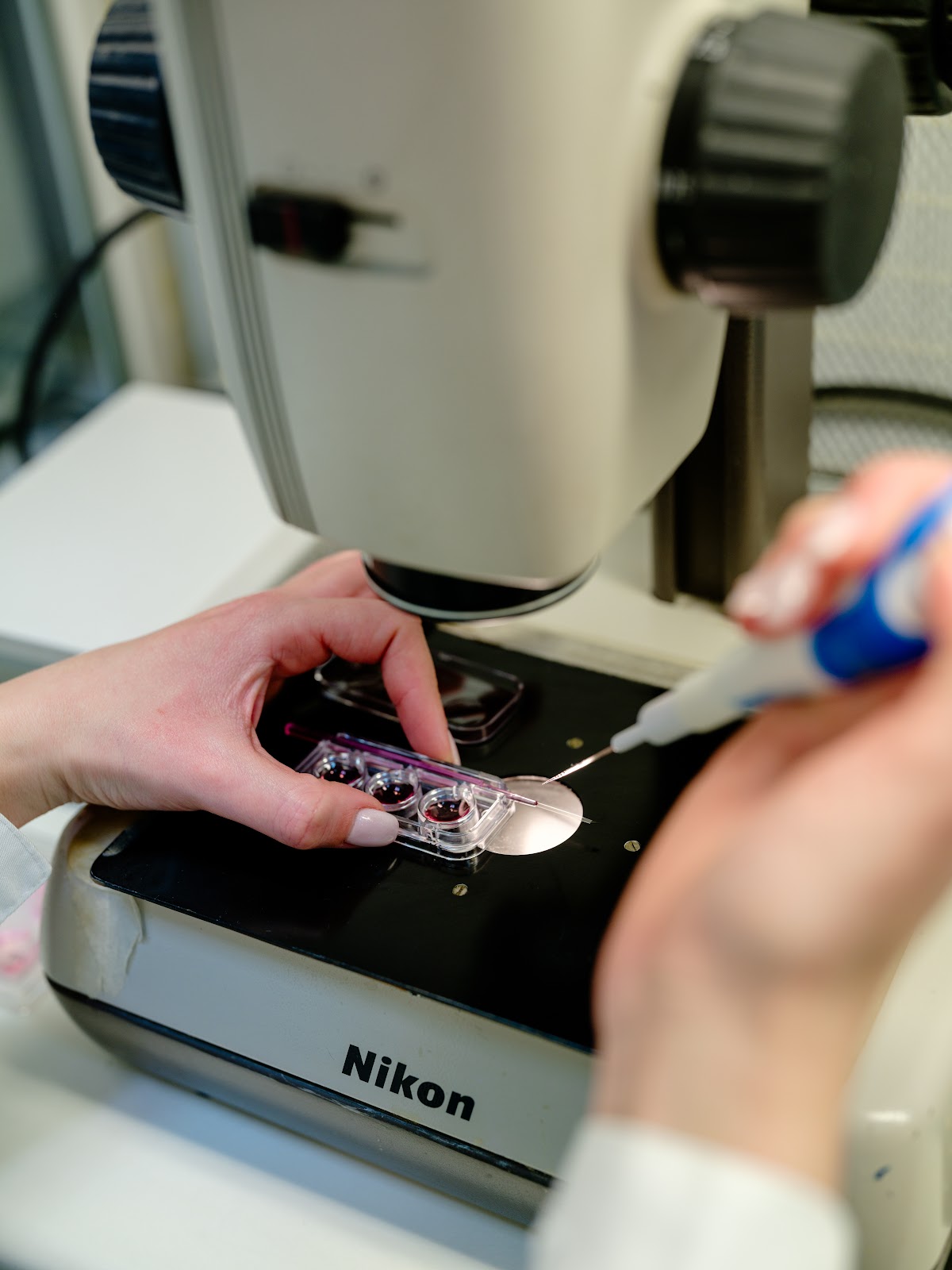 Genesis Fertility Clinic — photo 4