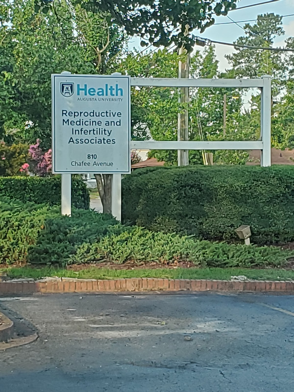 Reproductive Medicine and Infertility Associates — photo 4