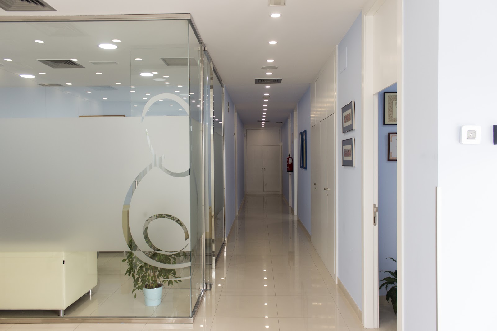 IEE- Instituto para el Estudio de la Esterilidad — photo 5