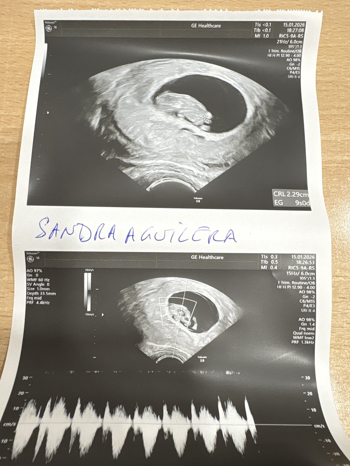 Embryocenter — photo 3