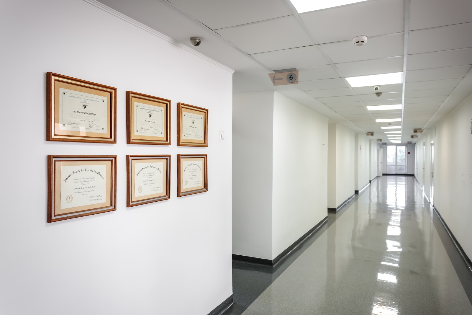 ICSI CLINIC клініка репродуктивного здоров'я — photo 2