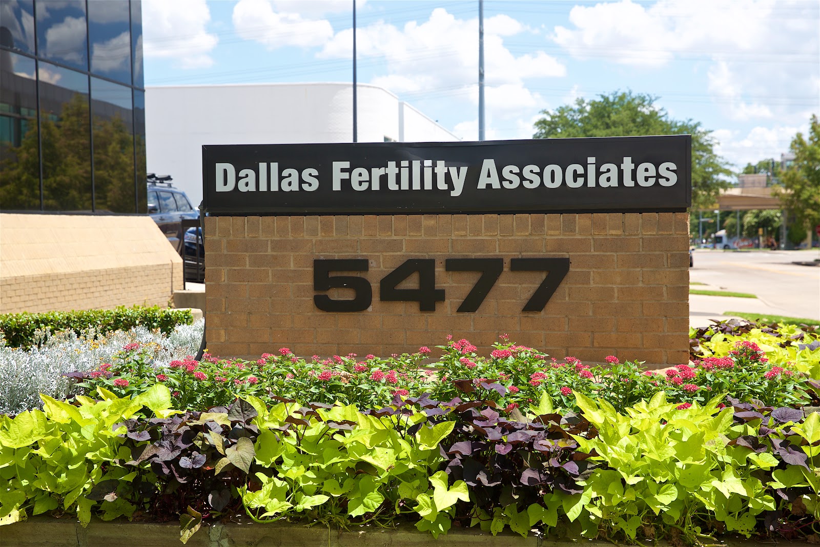 Dallas Fort Worth Fertility Associates — photo 5