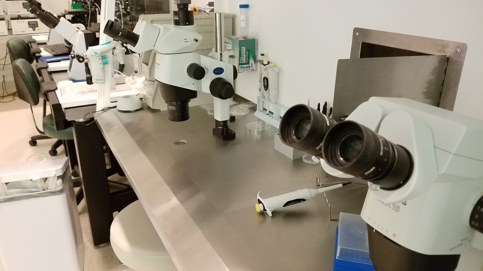 New Direction Fertility Centers — photo 5