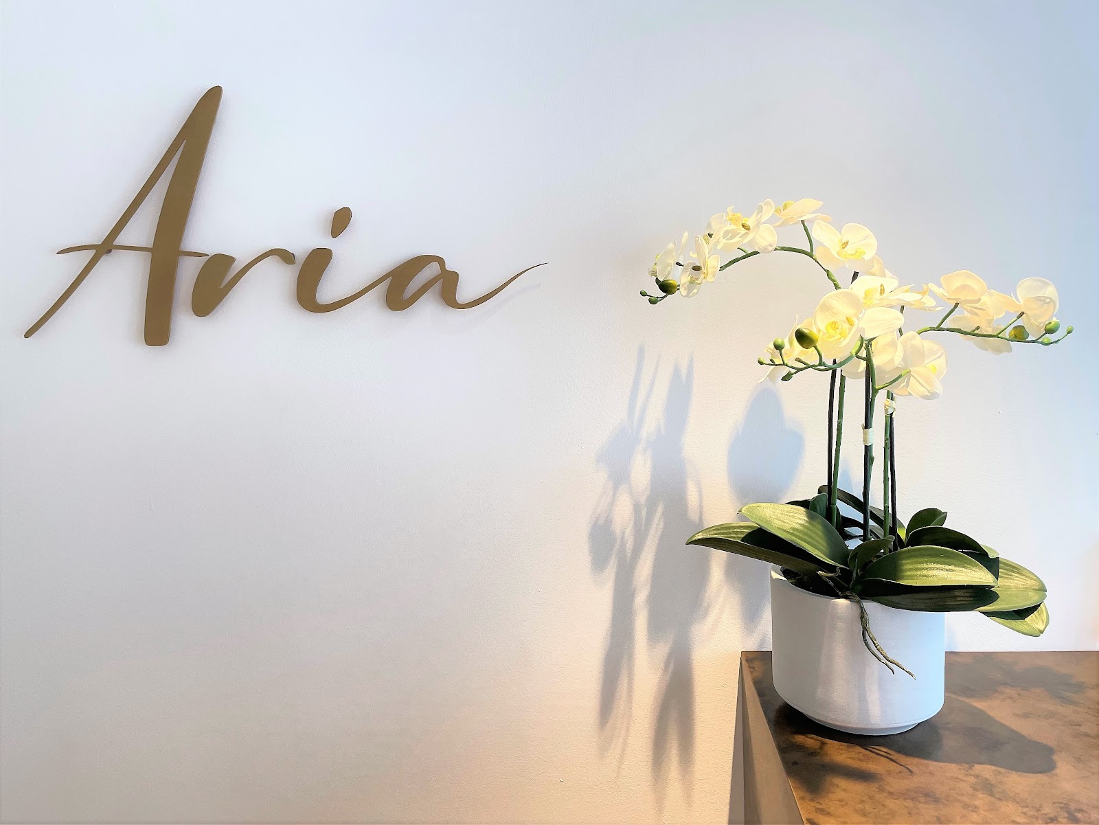 Aria Fertility — photo 5
