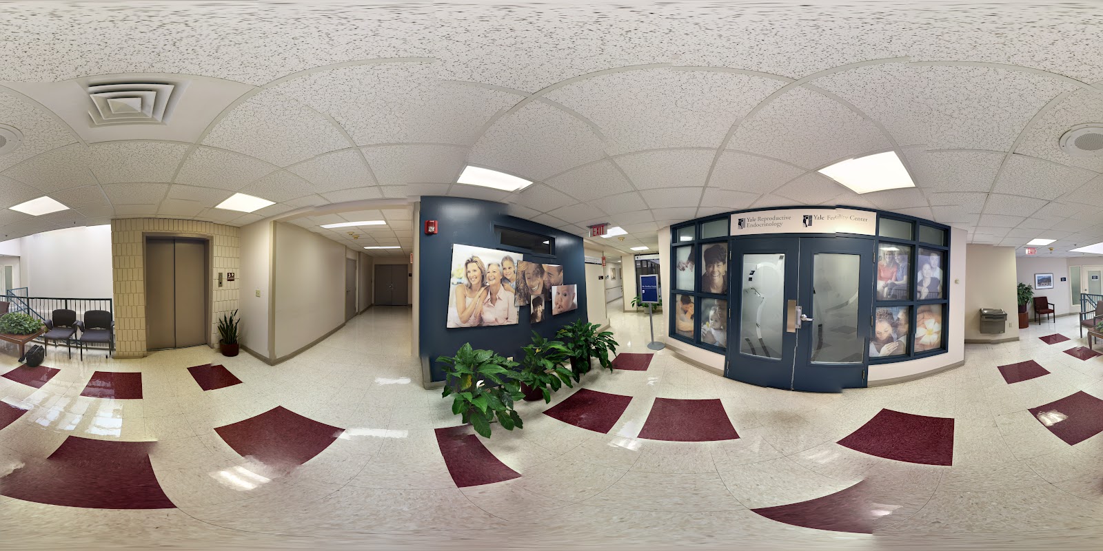 Yale Medicine Fertility Center — photo 4