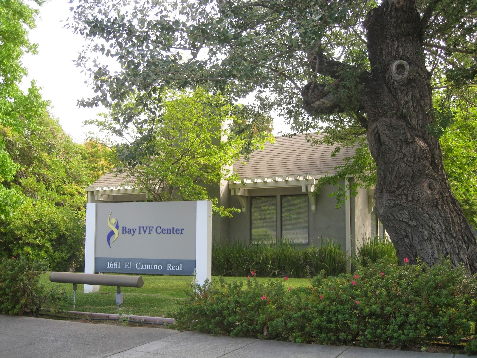 Bay IVF Fertility Treatment Clinic — photo 3