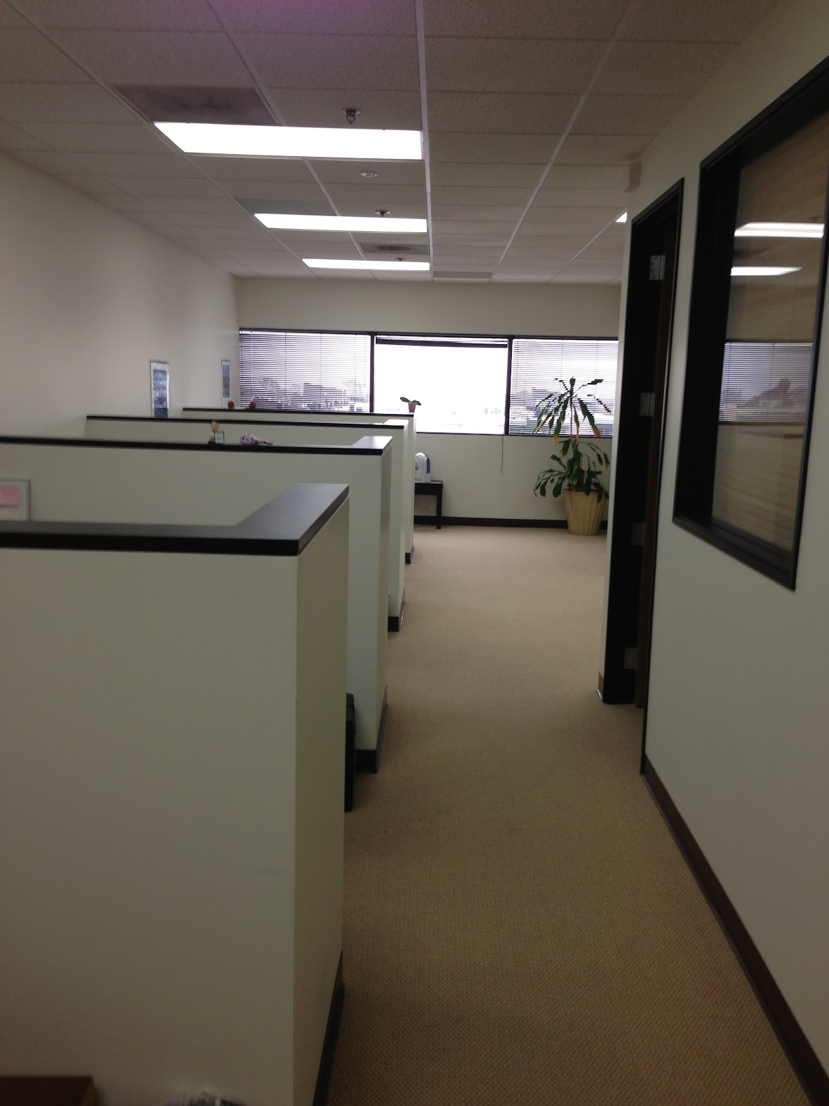 LA Baby Fertility Agency — photo 4