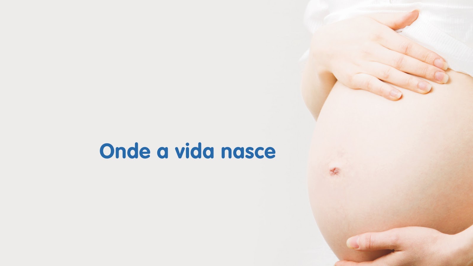 IVI Faro — photo 3