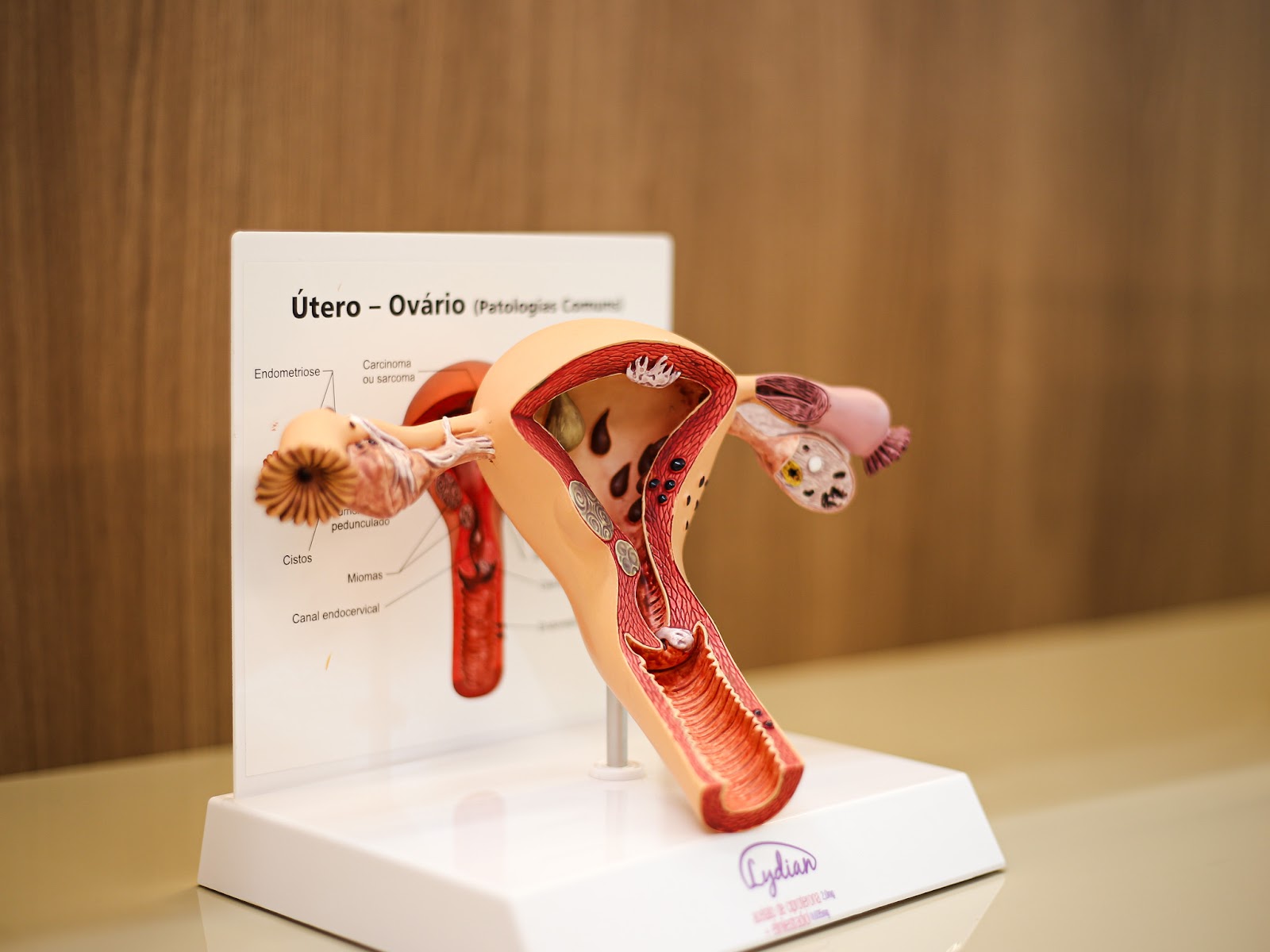 🏻‍ ️ Clínica de Saúde Reprodutiva e Inseminação Artificial | Dra. Adriana de Góes Soligo São Paulo - SP — photo 4