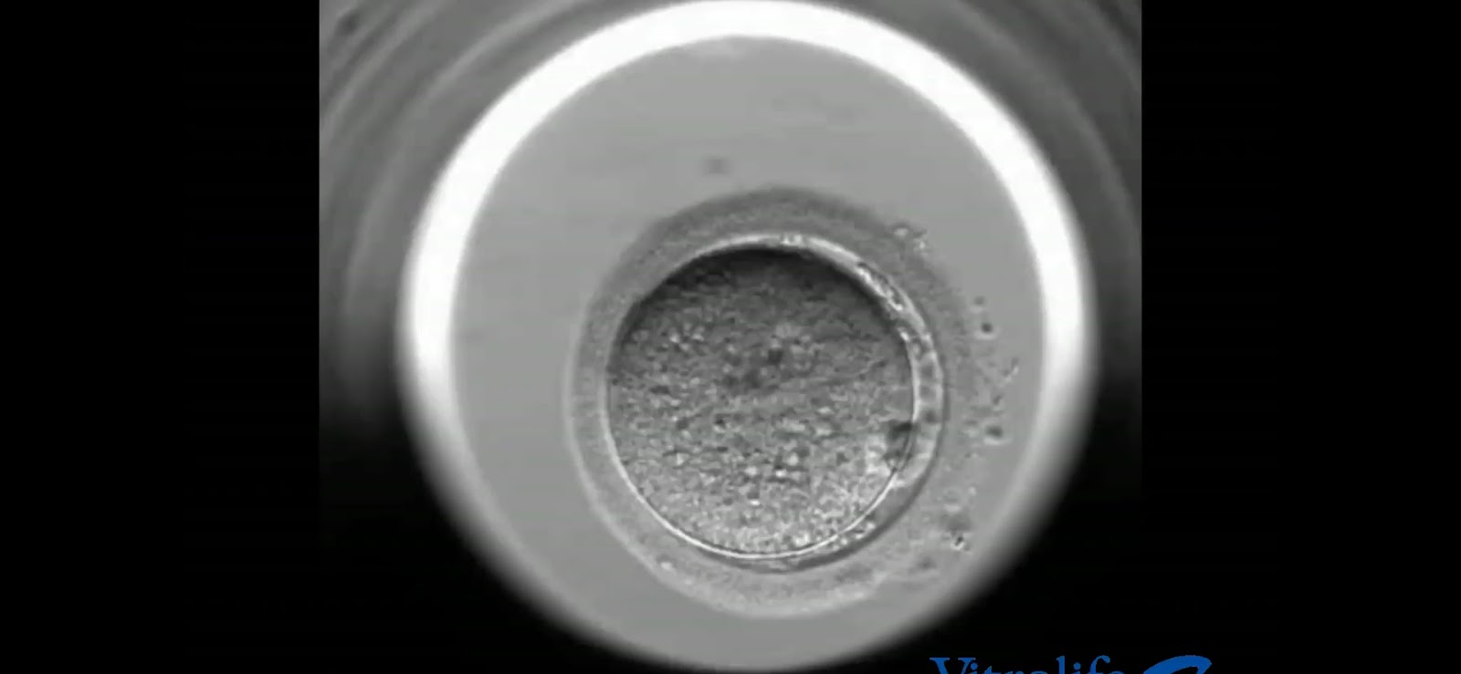 Complete Fertility Centre — photo 3