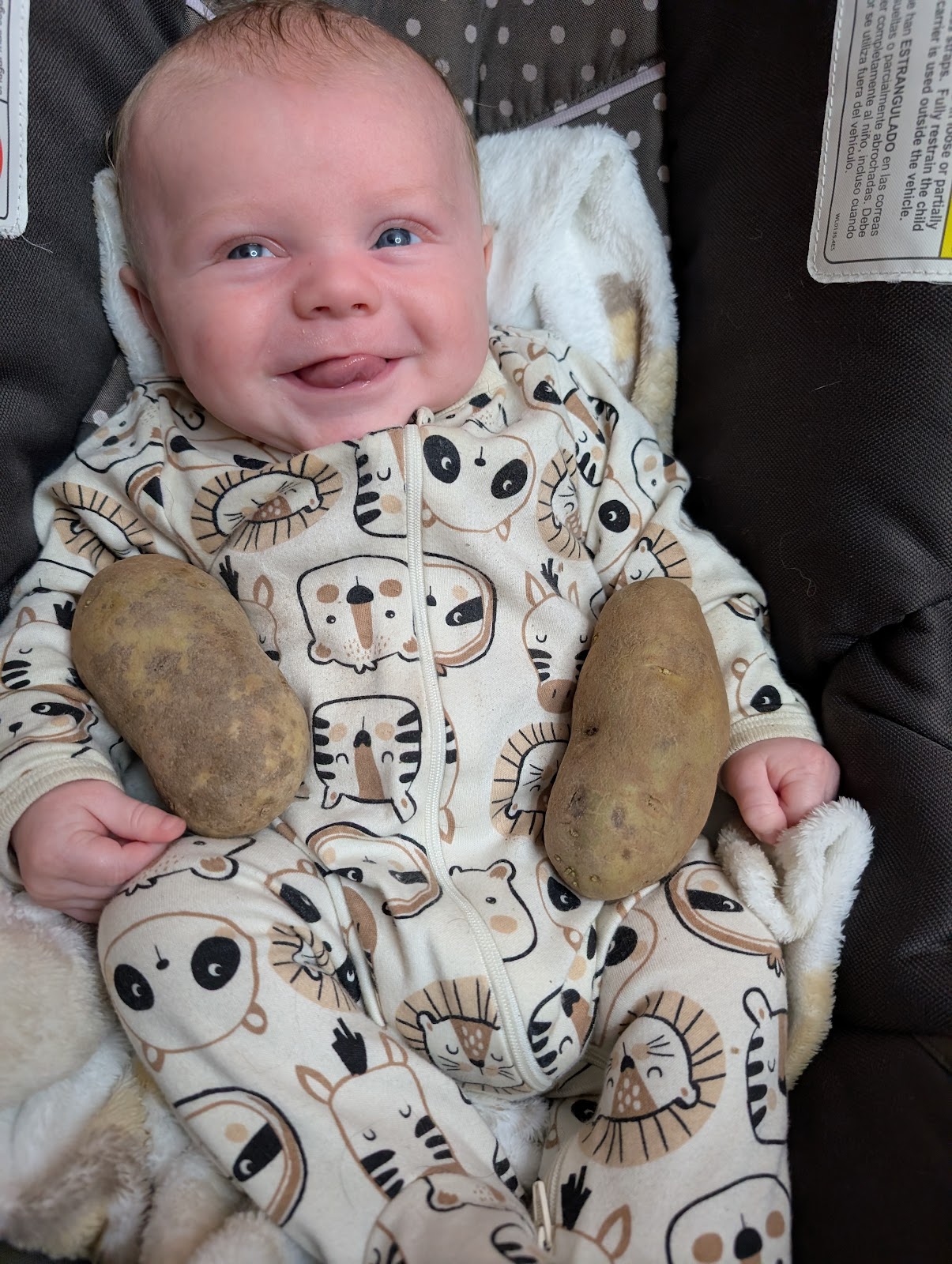 Indiana Fertility Institute — photo 5
