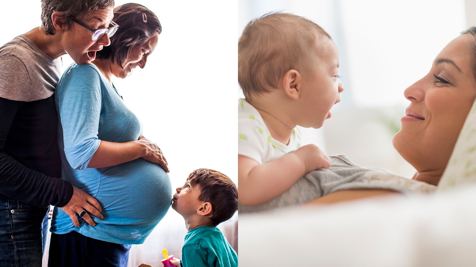 The Reproductive Care Centre Mississauga — photo 5