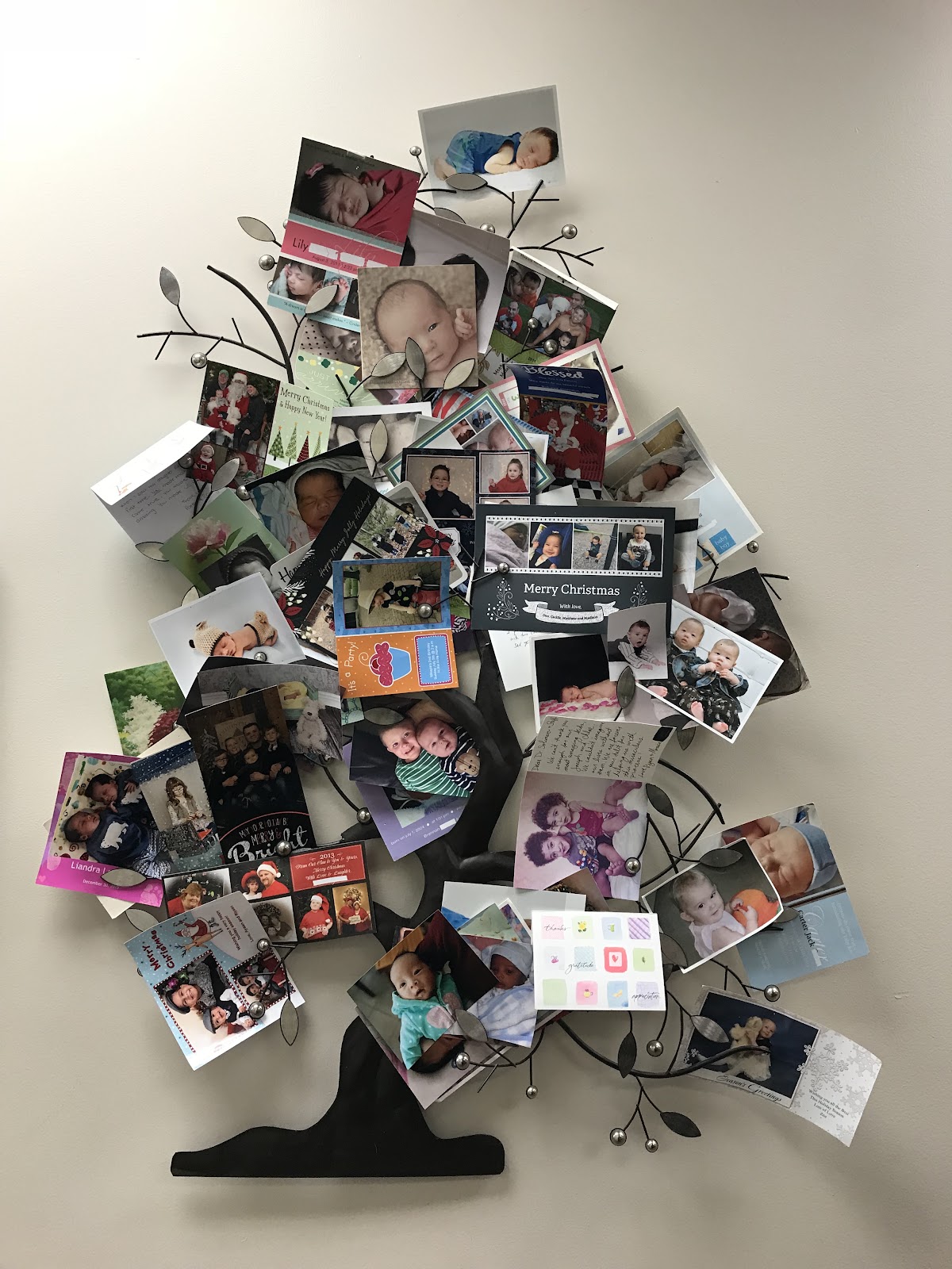 NewLife Fertility Centre — photo 2