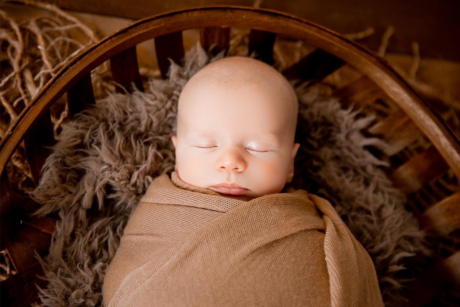 Brown Fertility — photo 2