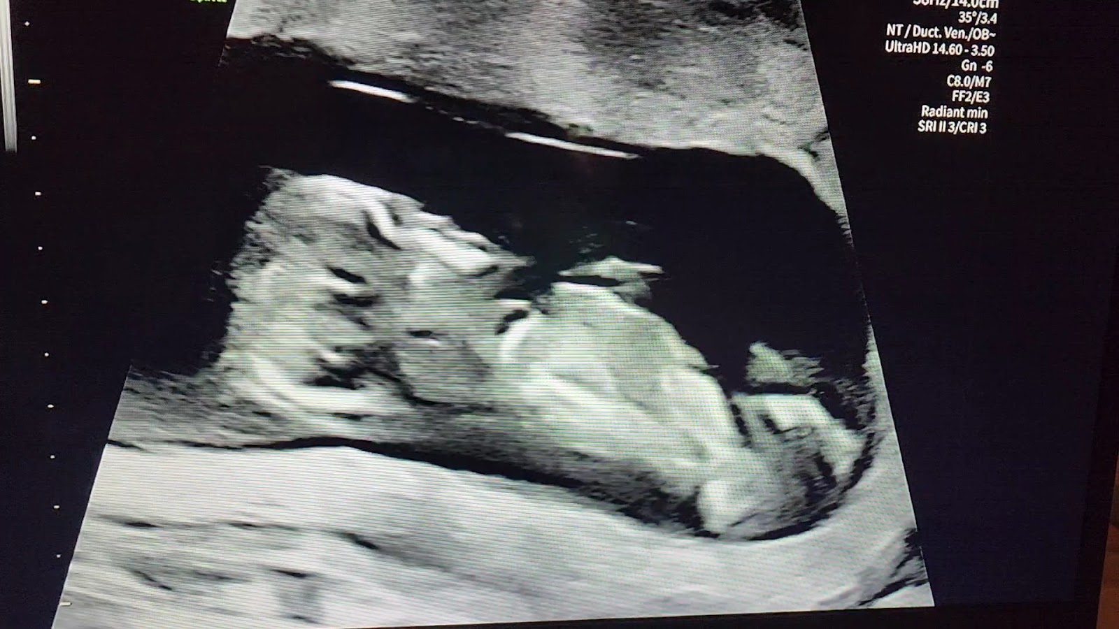 ORM Fertility - Downtown — photo 3