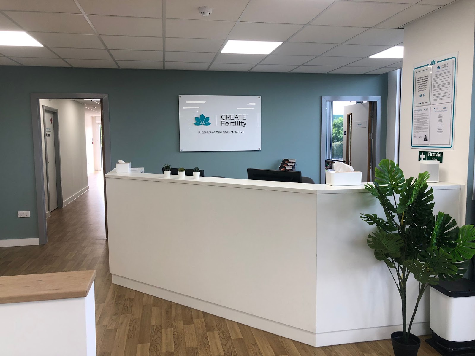 abc ivf — photo 5