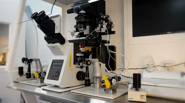 ART Fertility Clinics | Best IVF &amp; Fertility Clinic, AL Ain, UAE — photo 2